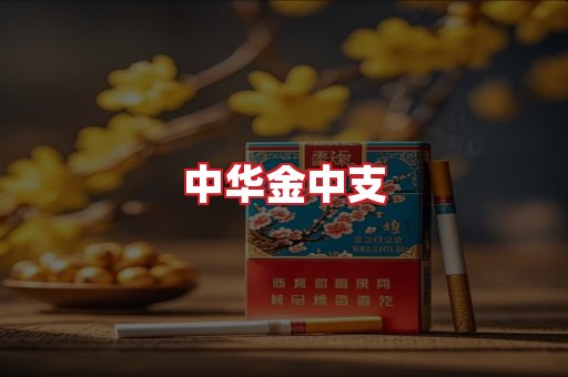 中华金中支